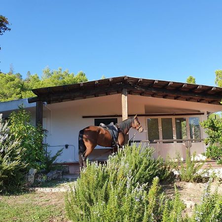 Villa Badde Rosa Dorgali Zewnętrze zdjęcie