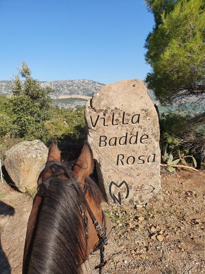 Villa Badde Rosa Dorgali Zewnętrze zdjęcie